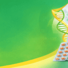 ChatGPT Image Feb 21, 2026, 02_05_40 PM (1)